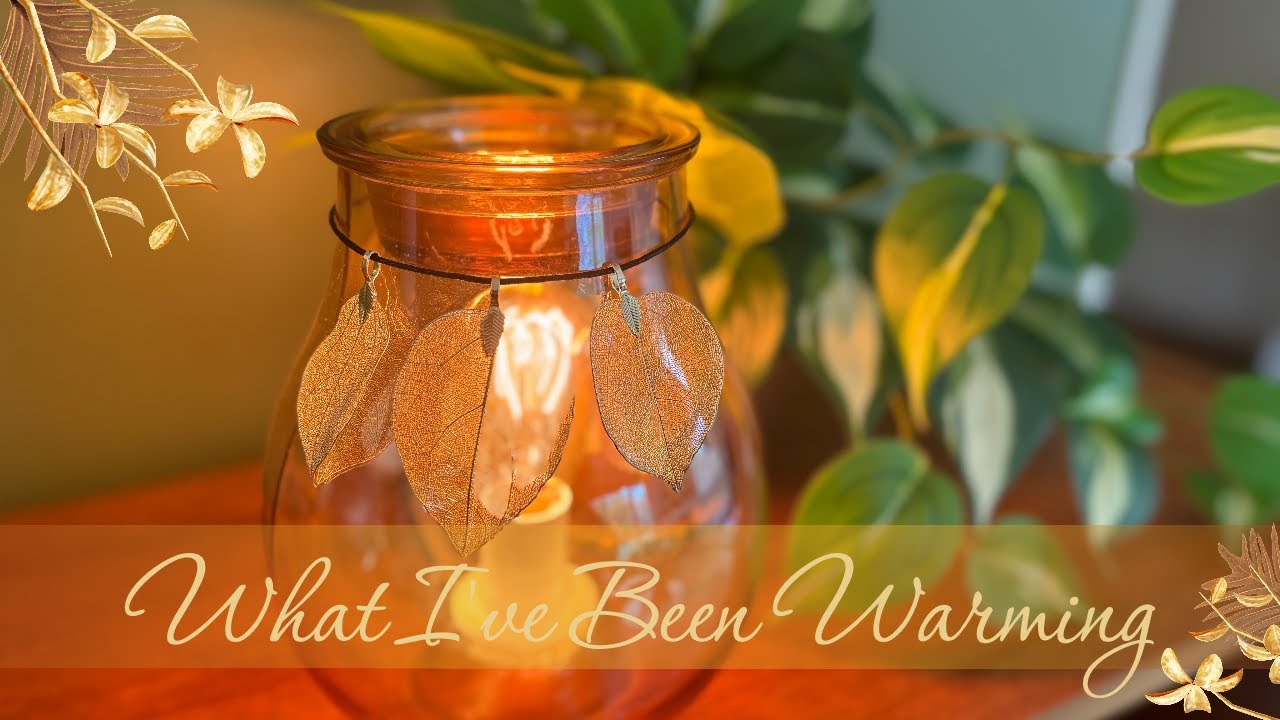 What I’ve Been Warming: featuring the new Sea Breeze scentsy bar! 🌴☀️🌊
