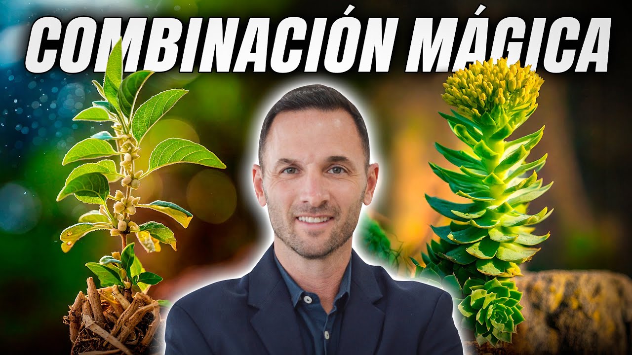 ASHWAGANDHA y RHODIOLA: La Formula MÁGICA para Sentir FELICIDAD