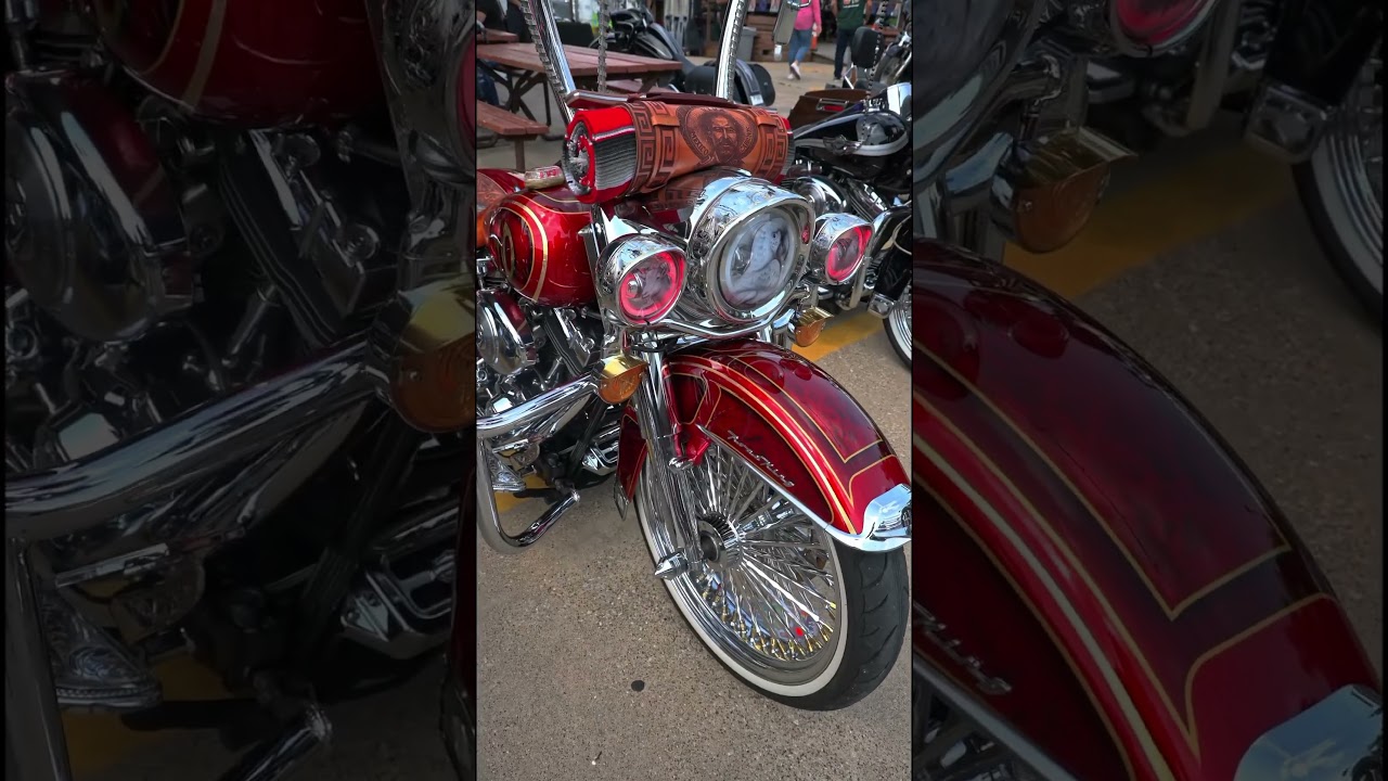Some shots from Bring out the Viclas!