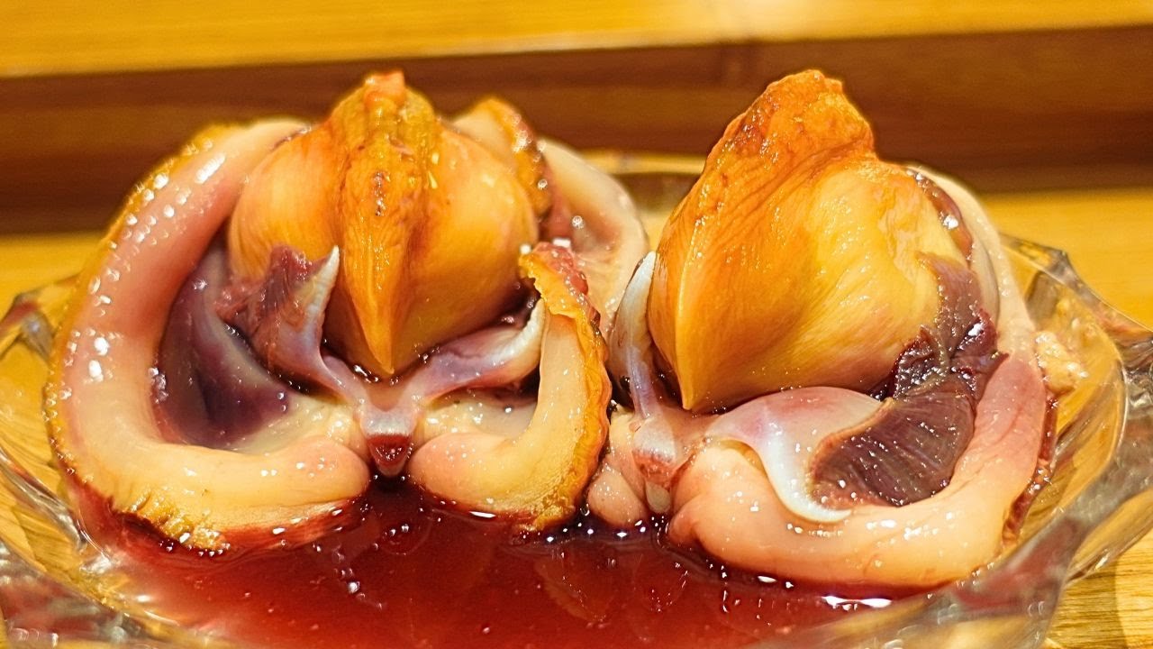 【全国を食べ歩く寿司マニアが通う店】名店の大将たちが全員感動...日本最高峰の地物寿司を楽しめる家族経営店のおまかせが凄すぎる【小柳寿司】