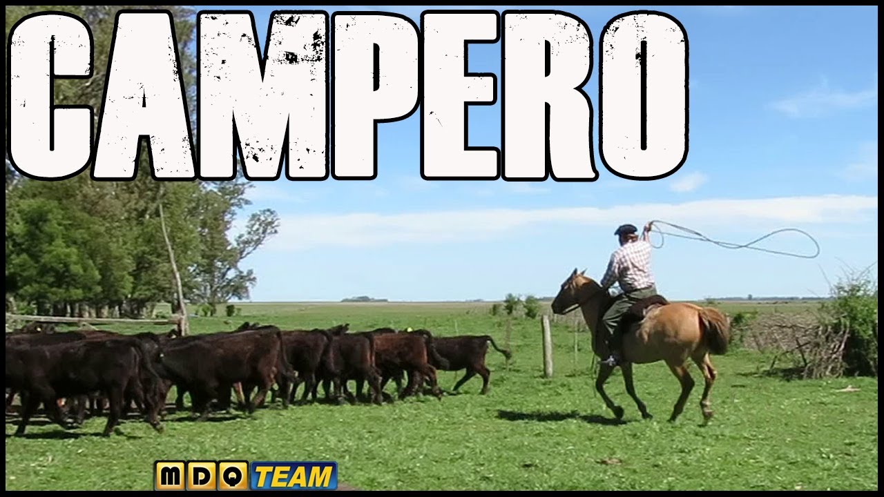 Asi se aprende en el CAMPO - ENLAZAR