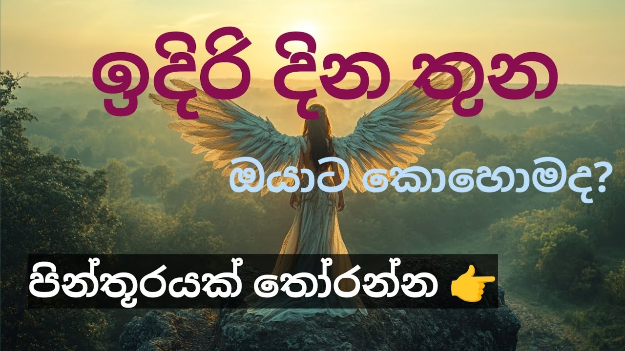 Universe Message 🔮 | Pick a Card – ඉදිරි දවස් 3 @divineflow-Thathsarani 