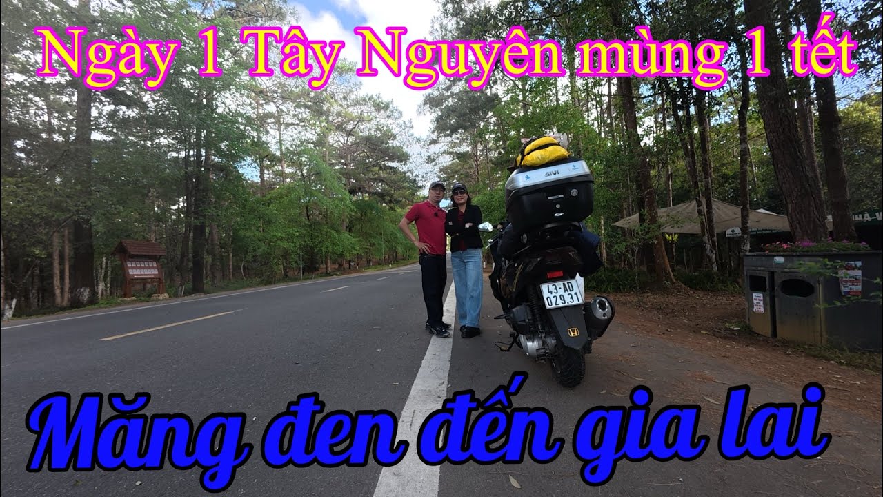 Ngày 1 Tây nguyên( phần 2) mùng 1 tết Măng đen & Hàng thông trăm tuổi 