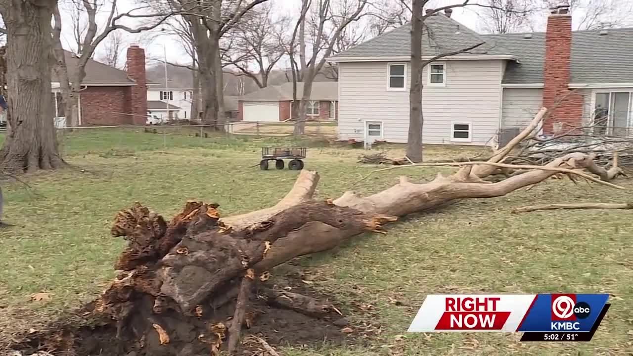 Shawnee residents describe scary night after EF-0 tornado damages trees and knocks out power