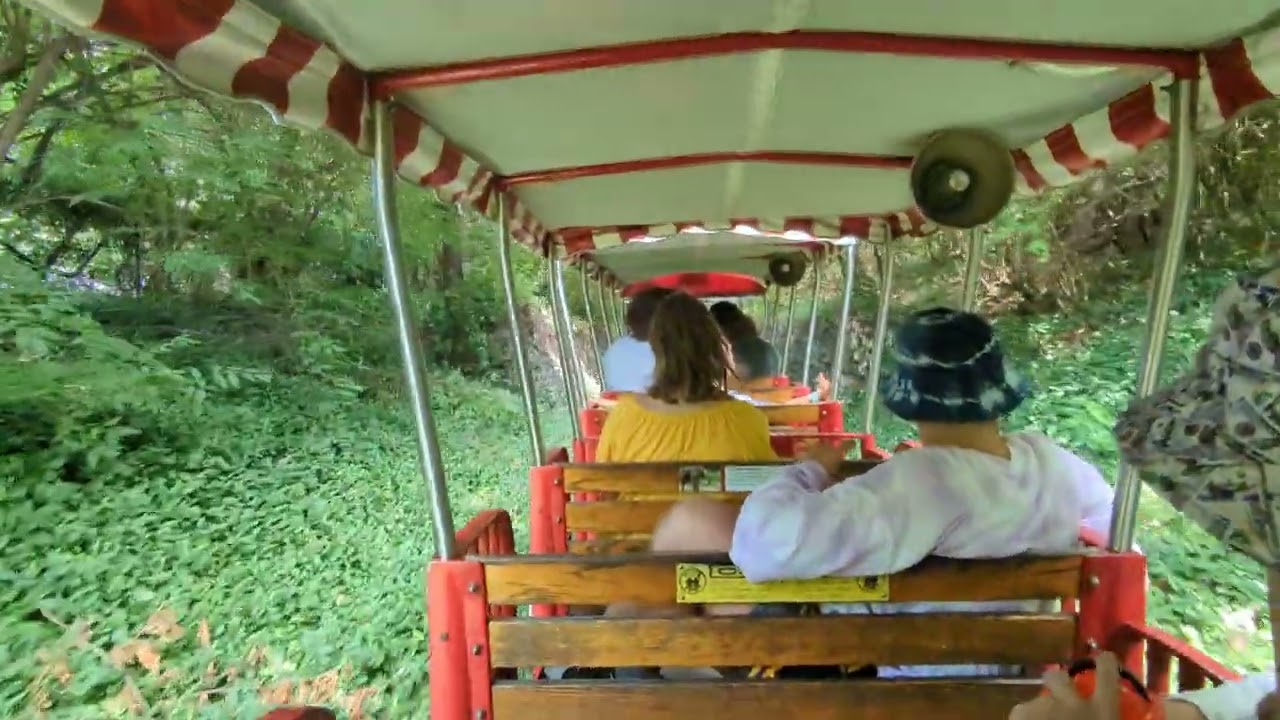 Saint Louis Zoo Emerson Zooline Railroad Train Ride HD Part 3