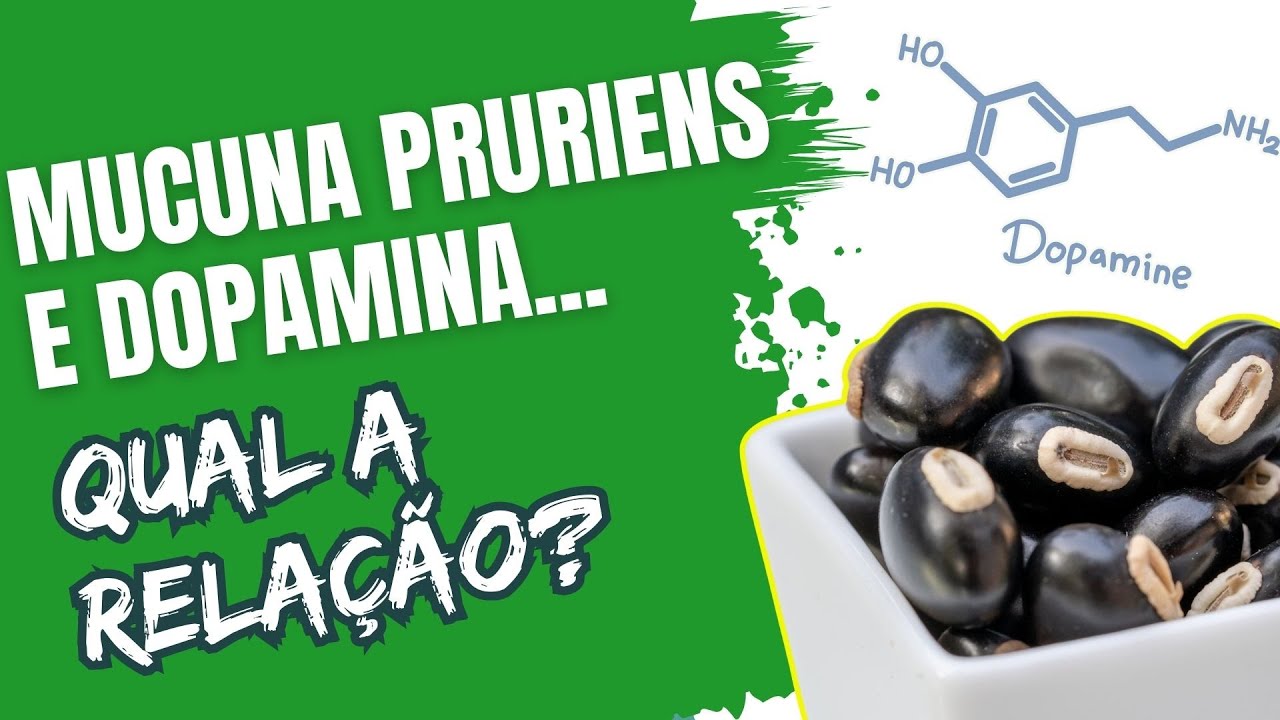 Mucuna Pruriens e Dopamina: Um Casamento de Sucesso!