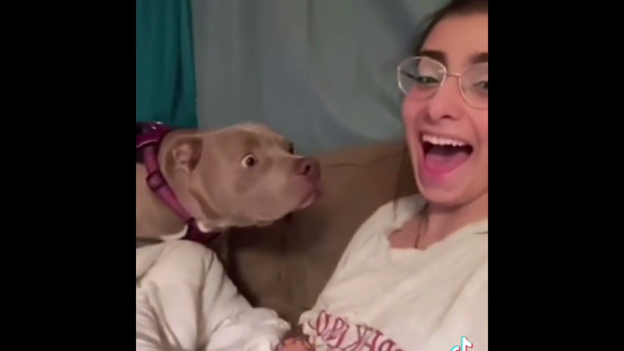 Bark at your dog trend on TikTok 🤣
