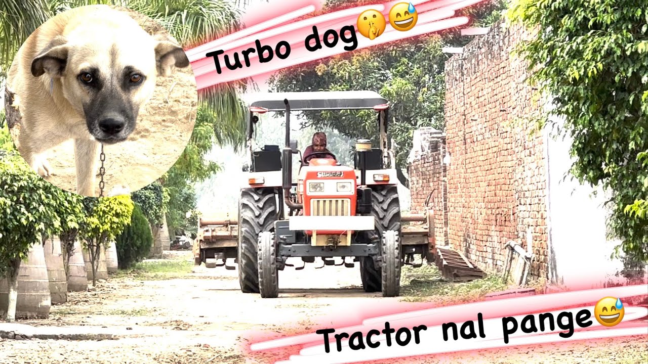 Turbo dog🤣/ tractor nal rasta kharab krta 🤫🙄/ khet vich motorcycle full speed te / {vlog4}