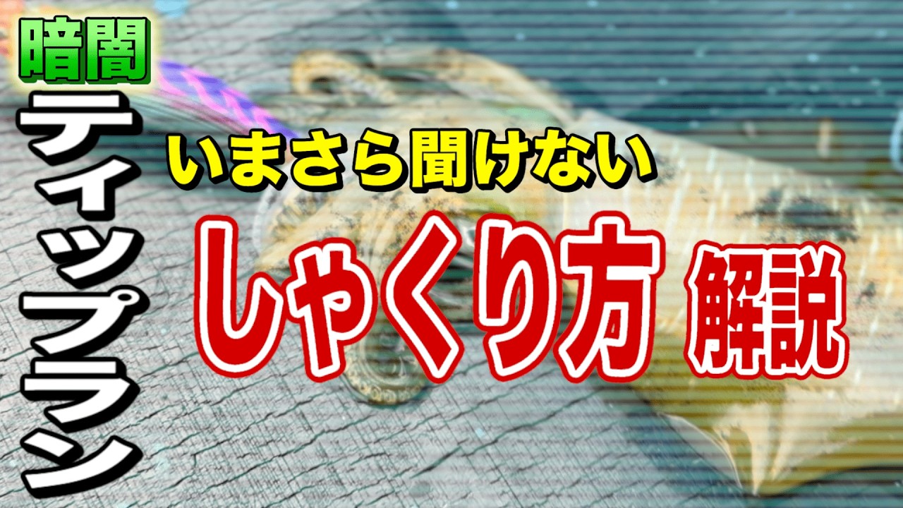 【ティップラン】しゃくり方解説！トレーニングで釣果爆上げ！集魚灯を消したらまさかの神展開