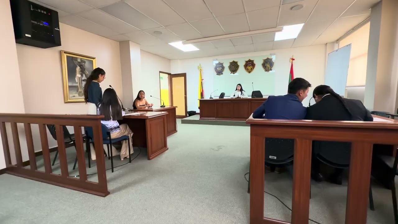 SIMULACIÓN DE AUDIENCIA - HABEAS DATA