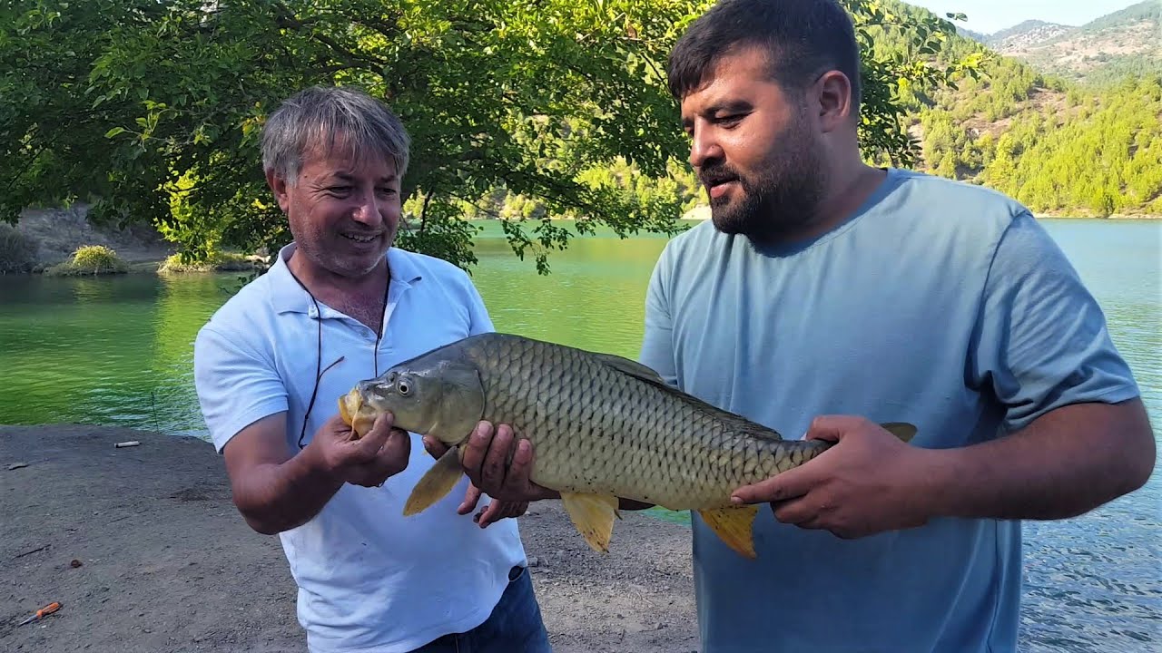 SAZAN AVI BOİLİ İLE ANLATILMAZ YAŞANIR. CARP FISHING AND CAMP