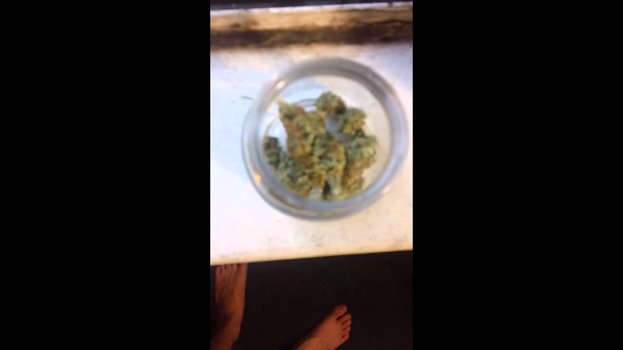 Strain Review Episode 2: Lemon Haze