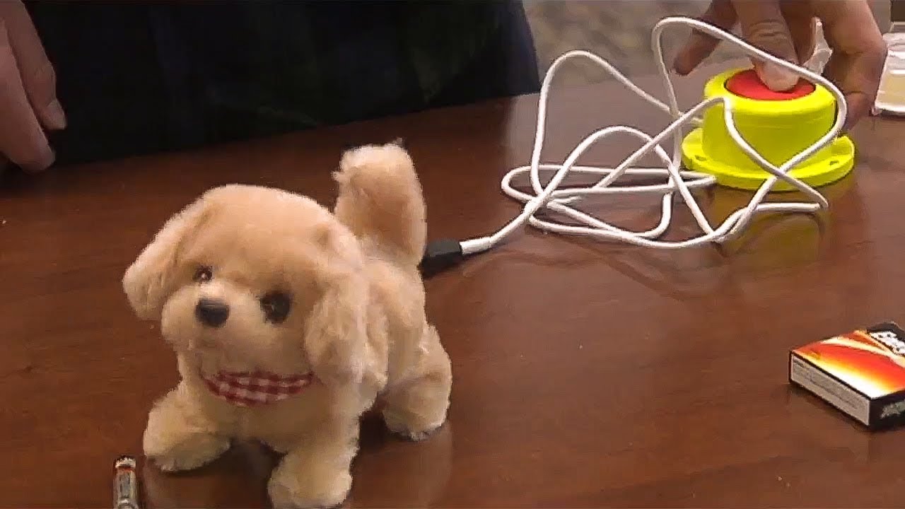 Adaptive toys for kids with disabilities