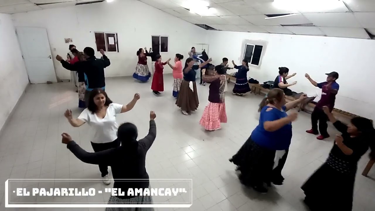 EL PAJARILLO - DANZA TRADICIONAL - 