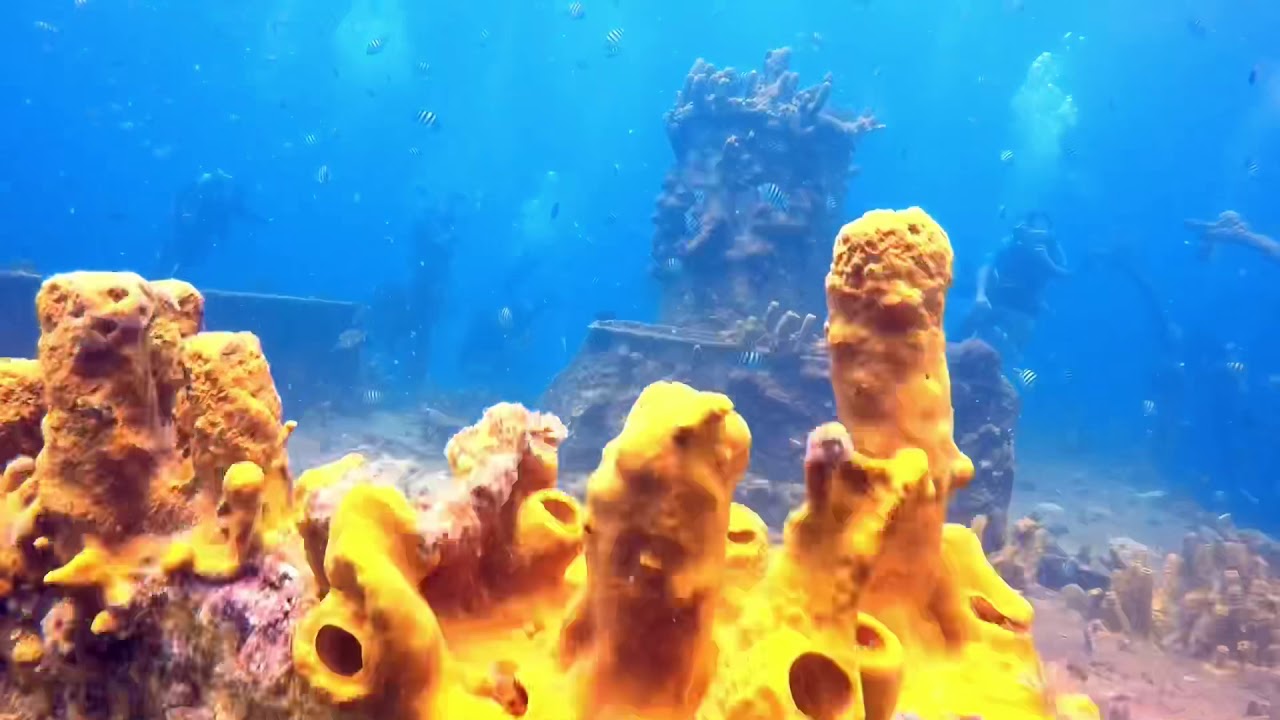 Dive Sandals Resorts St. Lucia