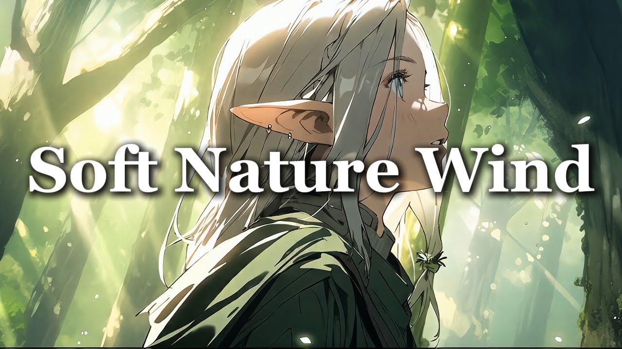 [Celtic BGM] 잔잔한 바람과 켈트 선율, 자연을 닮은 휴식 켈트 음 | Soft Nature Wind, Soothing Celtic Music🍃