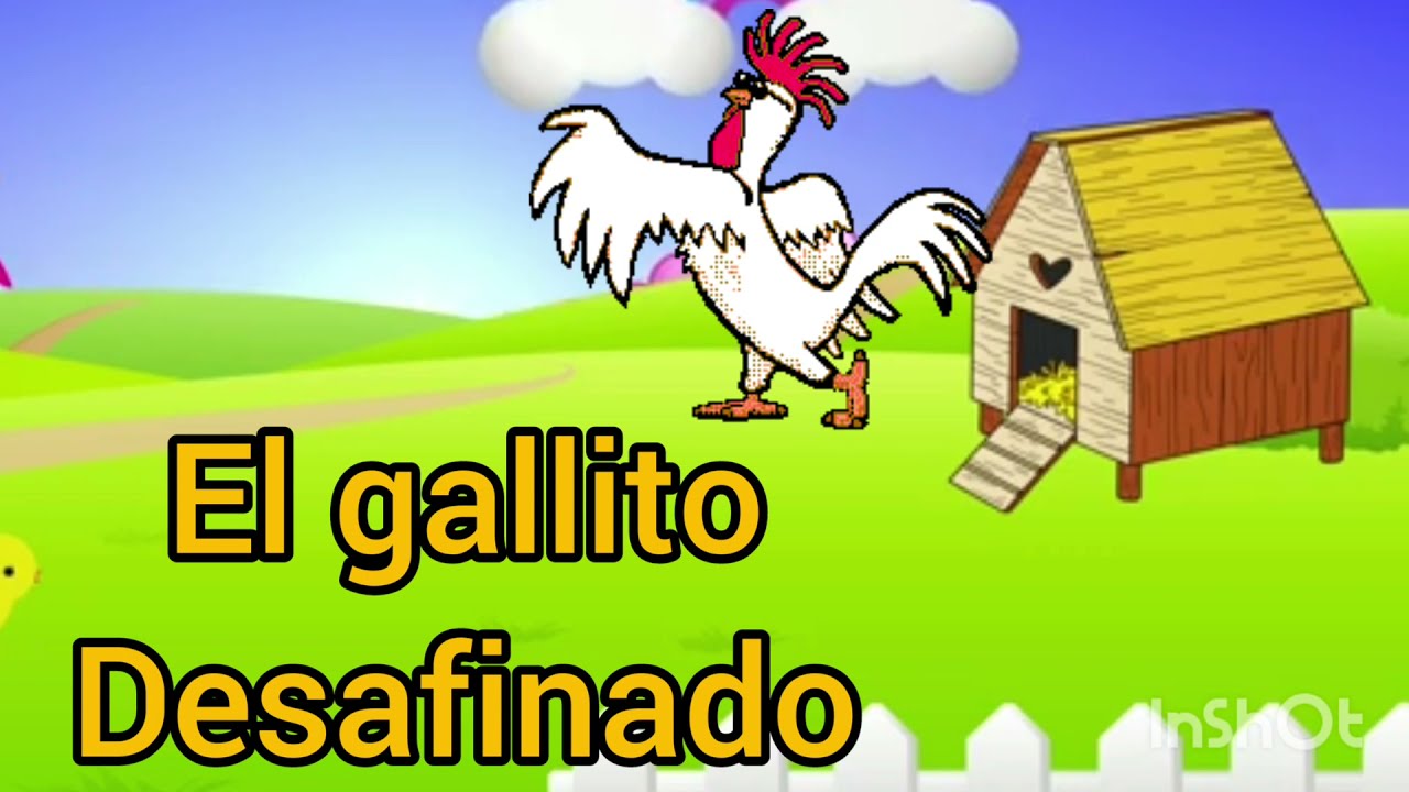 El gallito desafinado