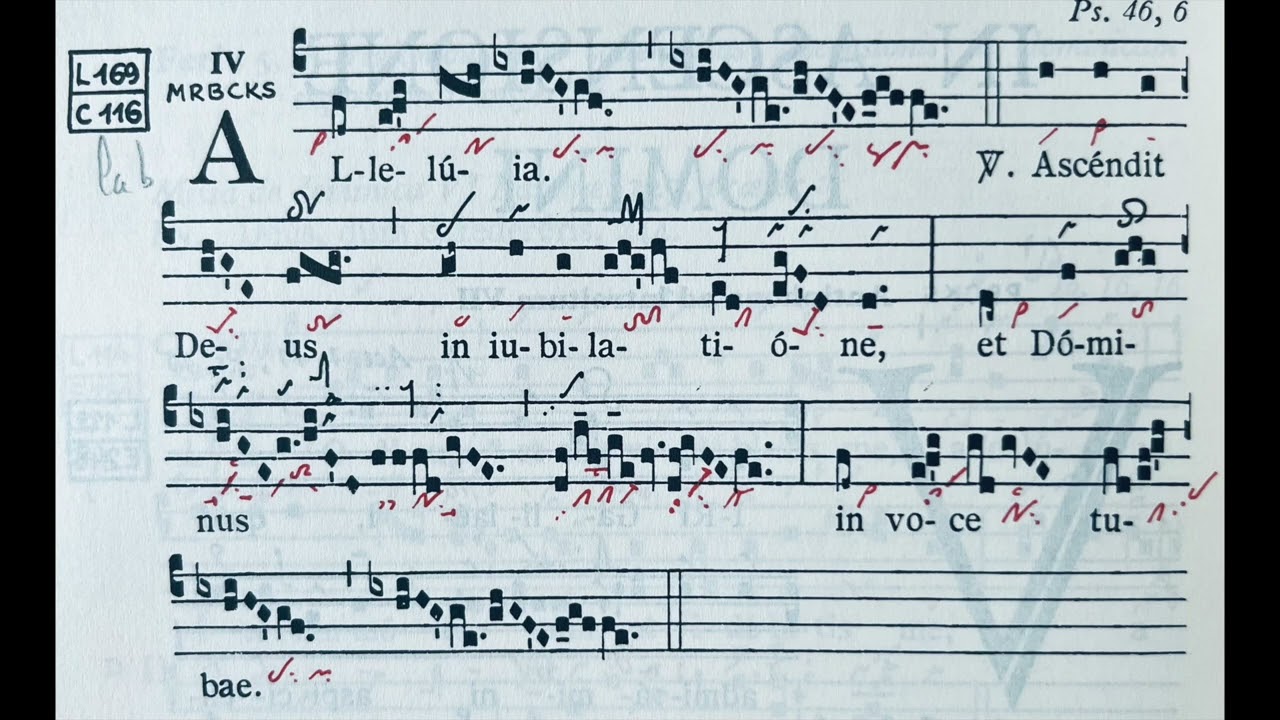 Alleluia - Ascendit Deus in iubilatione (Pure gregorian!)