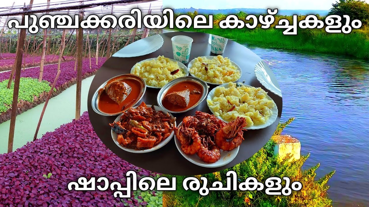 Punchakkari shop vlog | ഷാപ്പിലെ food | Trivandrum | vellayanilake | travel video | 24 Time Travel |