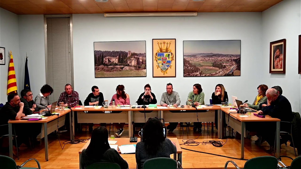 Ple Ordinari 26/11/2024