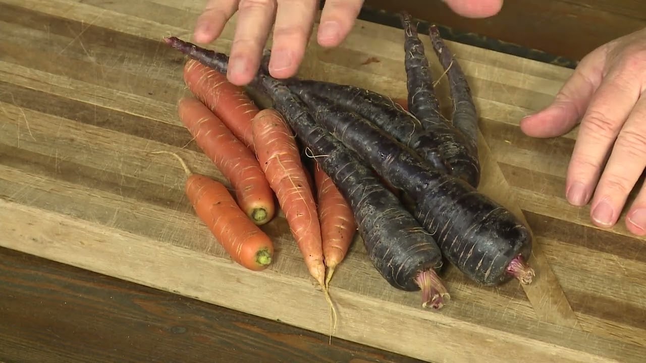 Cooked Carrots are so Nutritious
