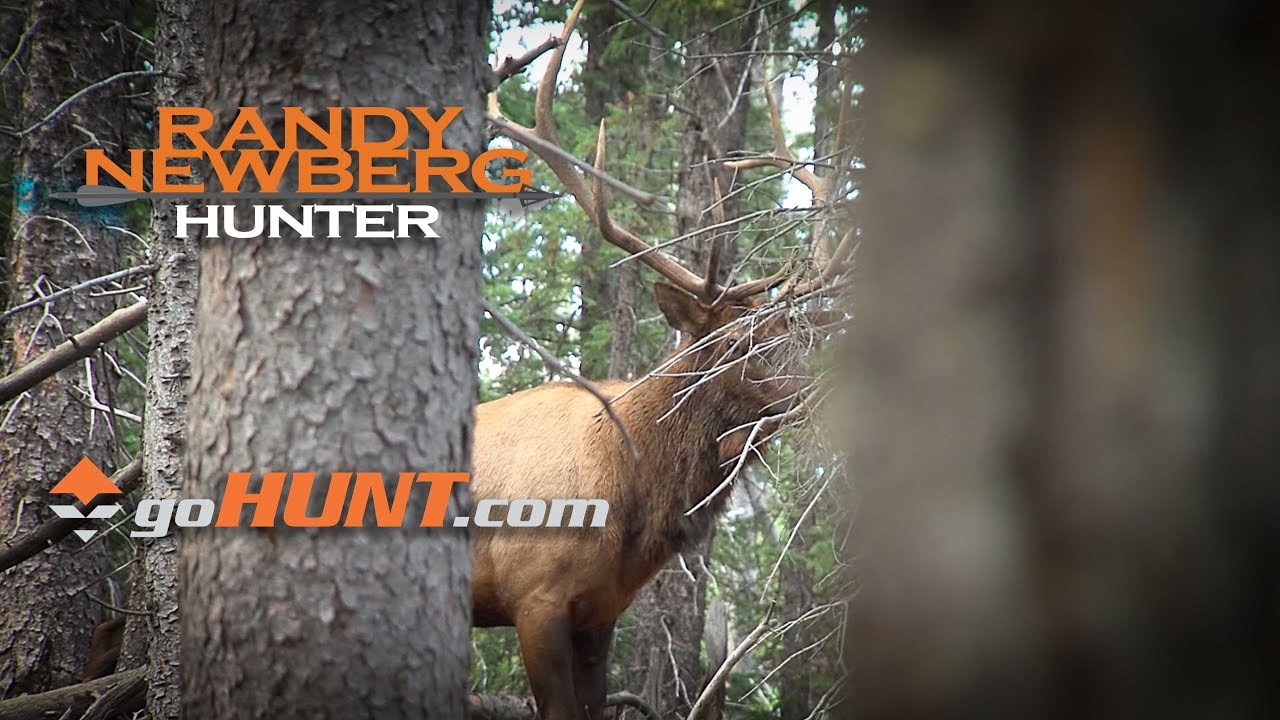 How to use goHUNT INSIDER to draw Utah Big Game Tags