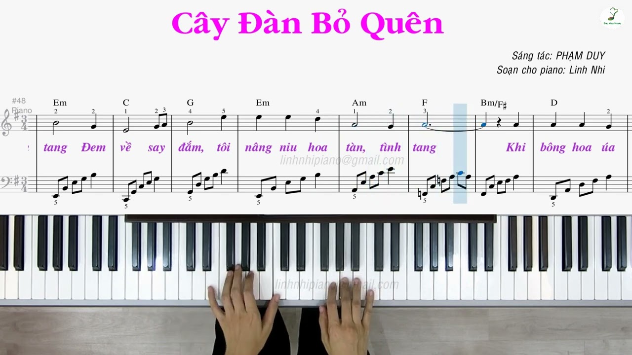 Cây Đàn Bỏ Quên | Piano solo | Easy level | Linh Nhi