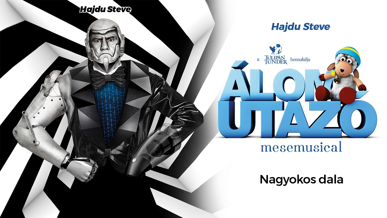 Hajdu Steve: Robotol&aacute;s ( Nagyokos &eacute;s a robotok dala )