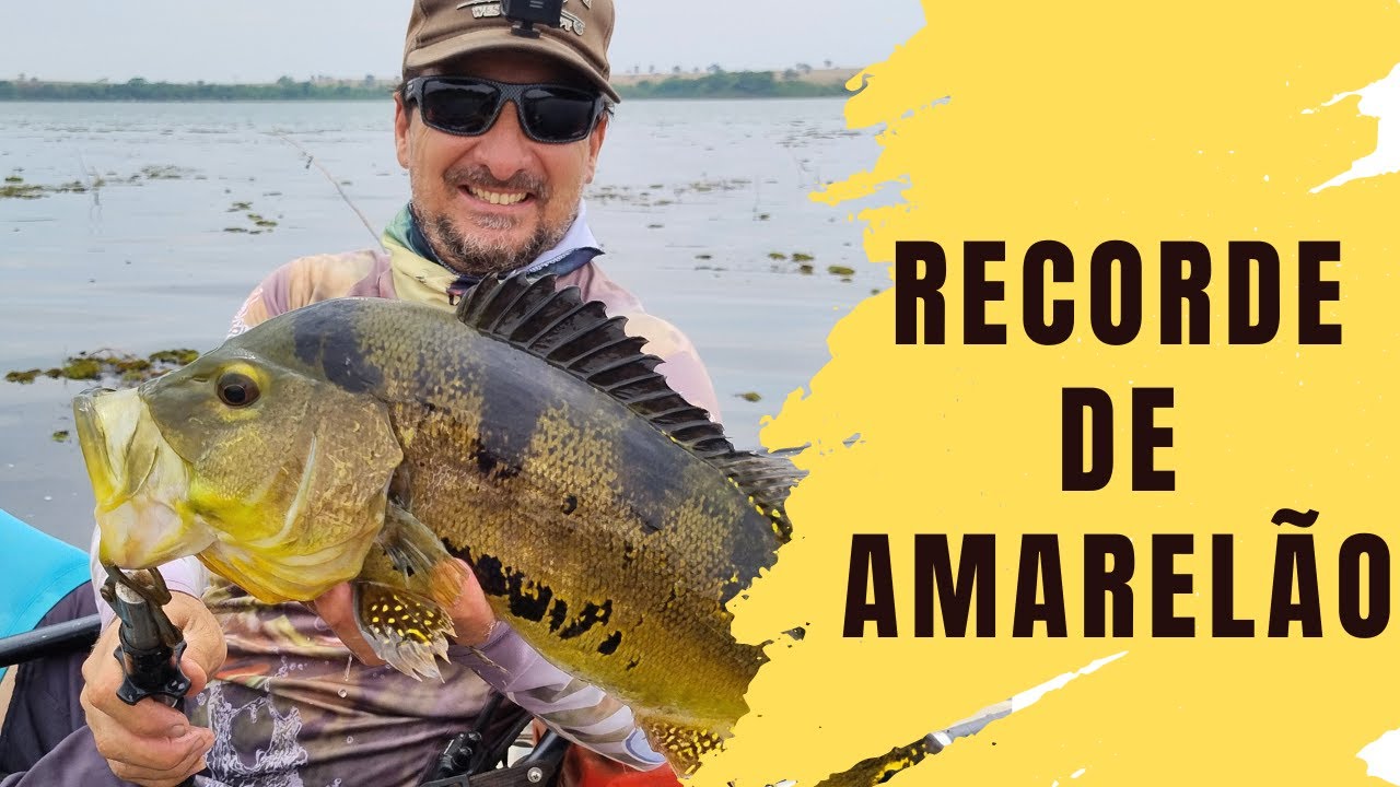 ASSUSTEI COM O TAMANHO QUANDO OLHEI - PESCARIA #pescaria #pesca #fishing #tucunare #pescaesportiva