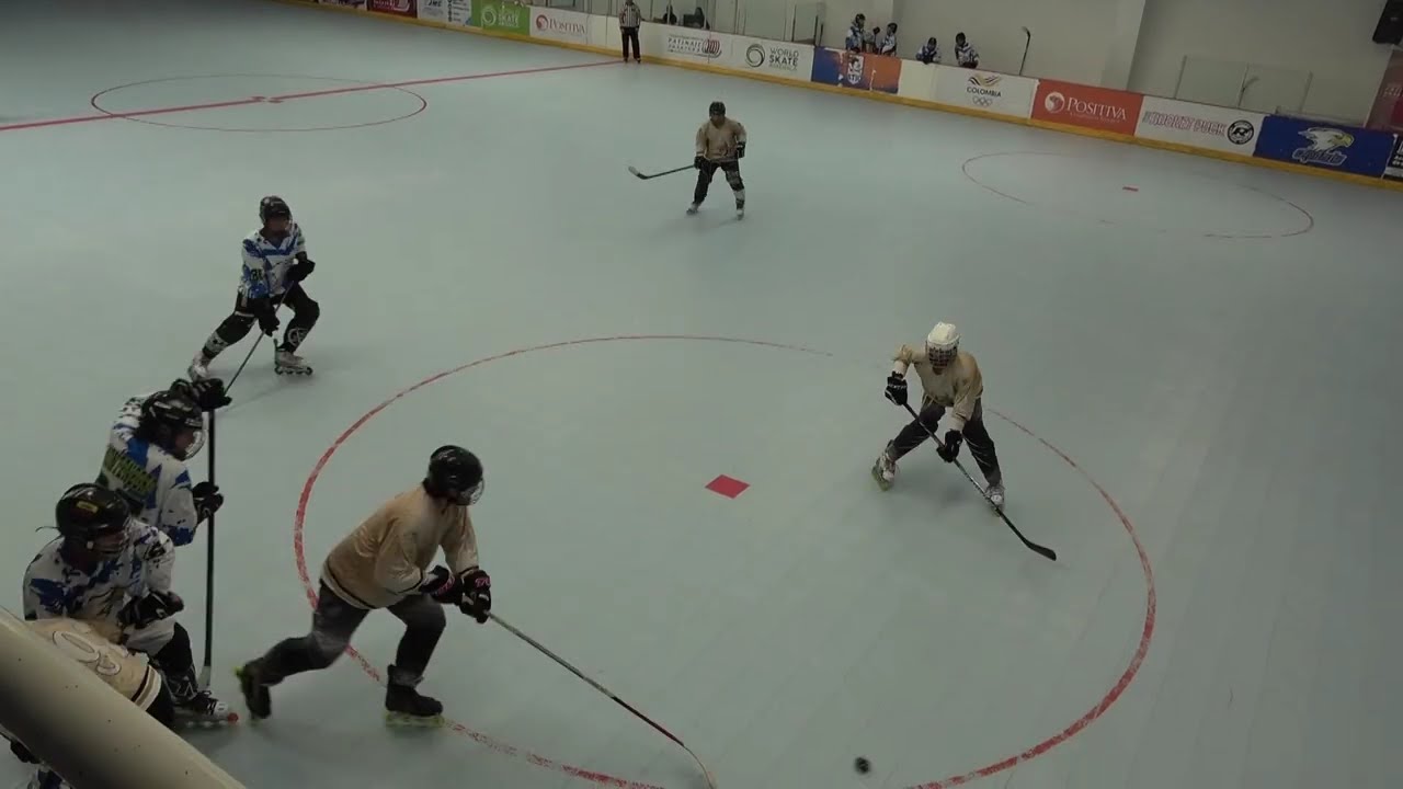 hornets dorado vs capitals 1