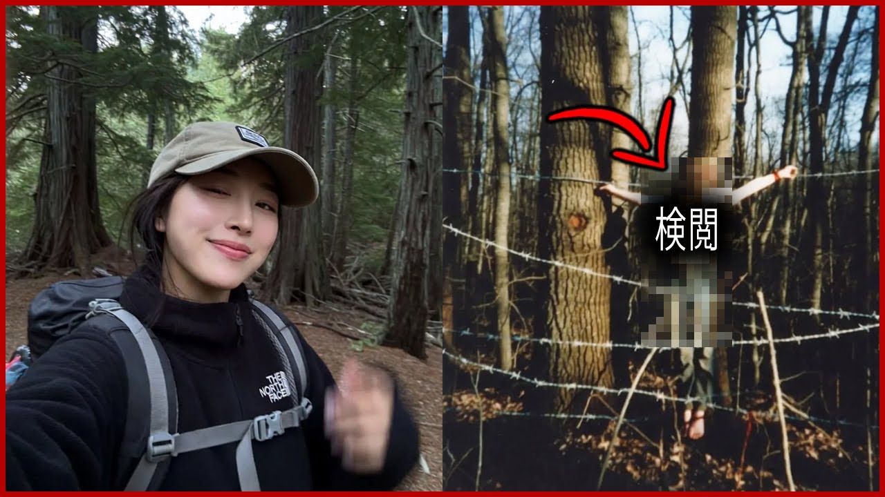 青木ヶ原で少女が行方不明に―10日後、木の上で発見された彼女の証言は恐ろしいものだった！