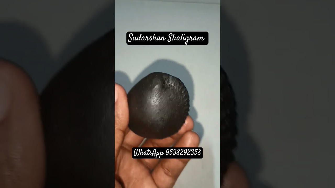 Sudarshan Shaligram #vishnu #saligrama #shalagram #krishnabhajan