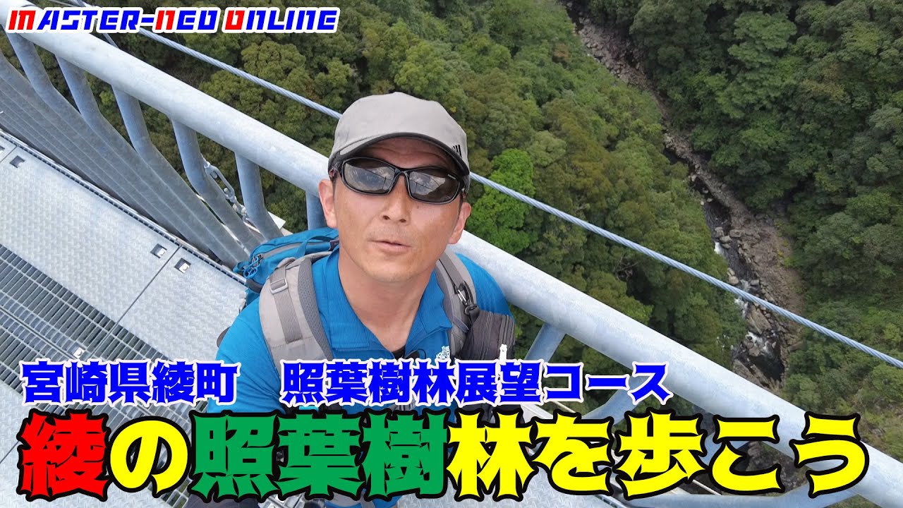 【Peak hunt】宮崎県綾町の照葉大吊橋　照葉樹林を歩く