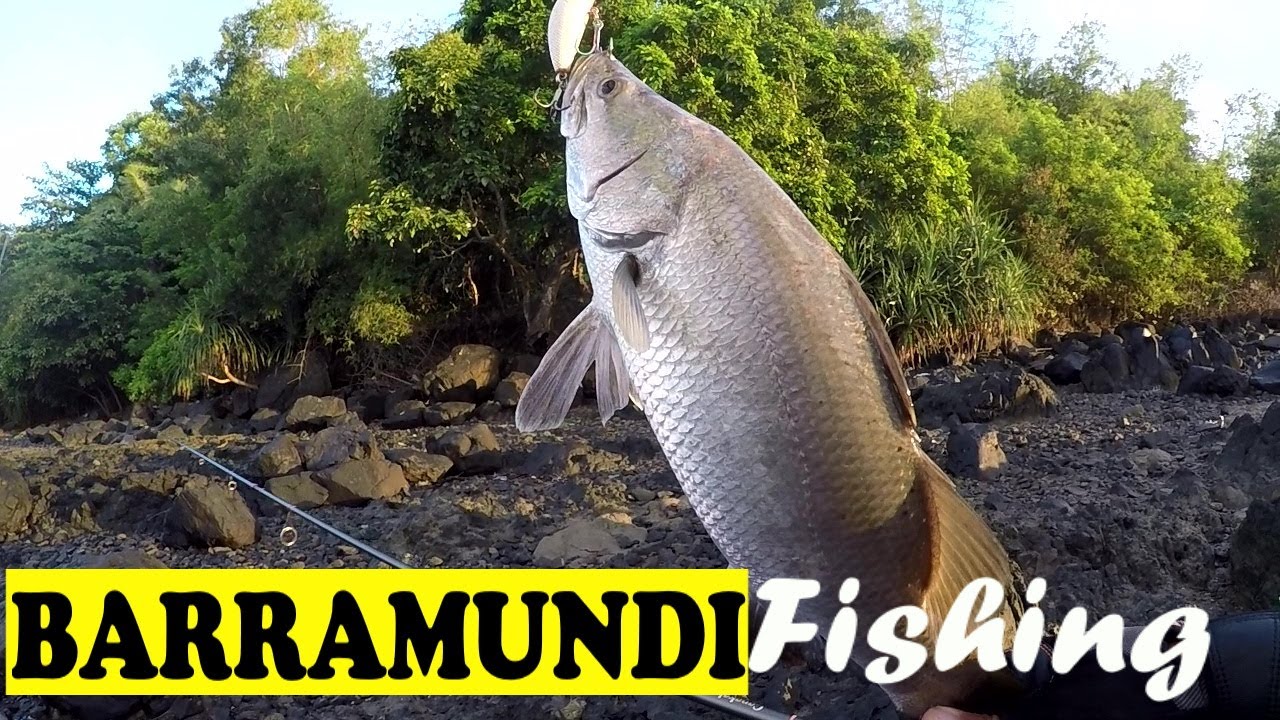 BARRAMUNDI FISHING  | AJUY, ILOILO SHORE CASTING  | ULTRALIGHT FISHING | LOCALS FISHING TECHNIQUE