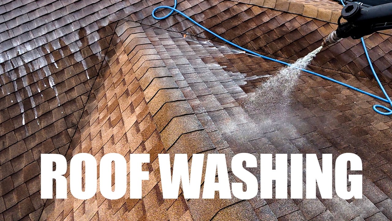 Roof Soft Washing in Apollo Beach, FL | Removing Black Streaks on Asphalt Shingles