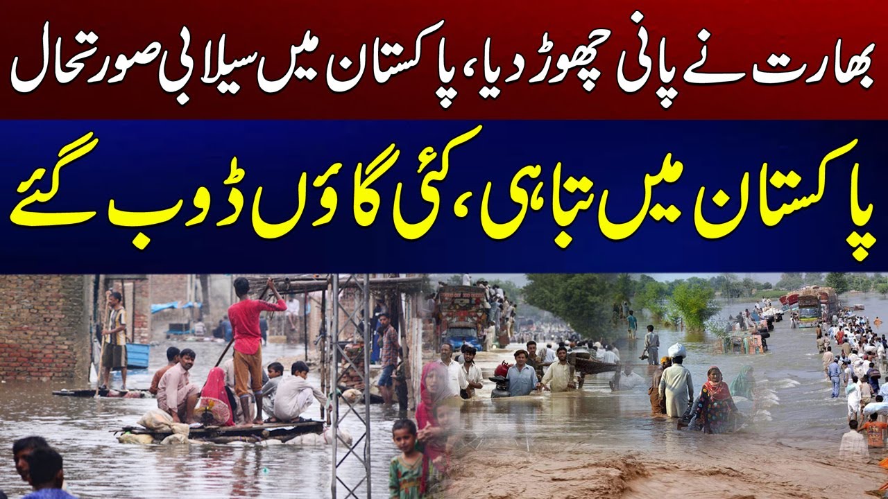 India’s Water Release Creates Havoc in Pak Rivers | Sutlej, Ravi & Chenab Overflowing | City 41
