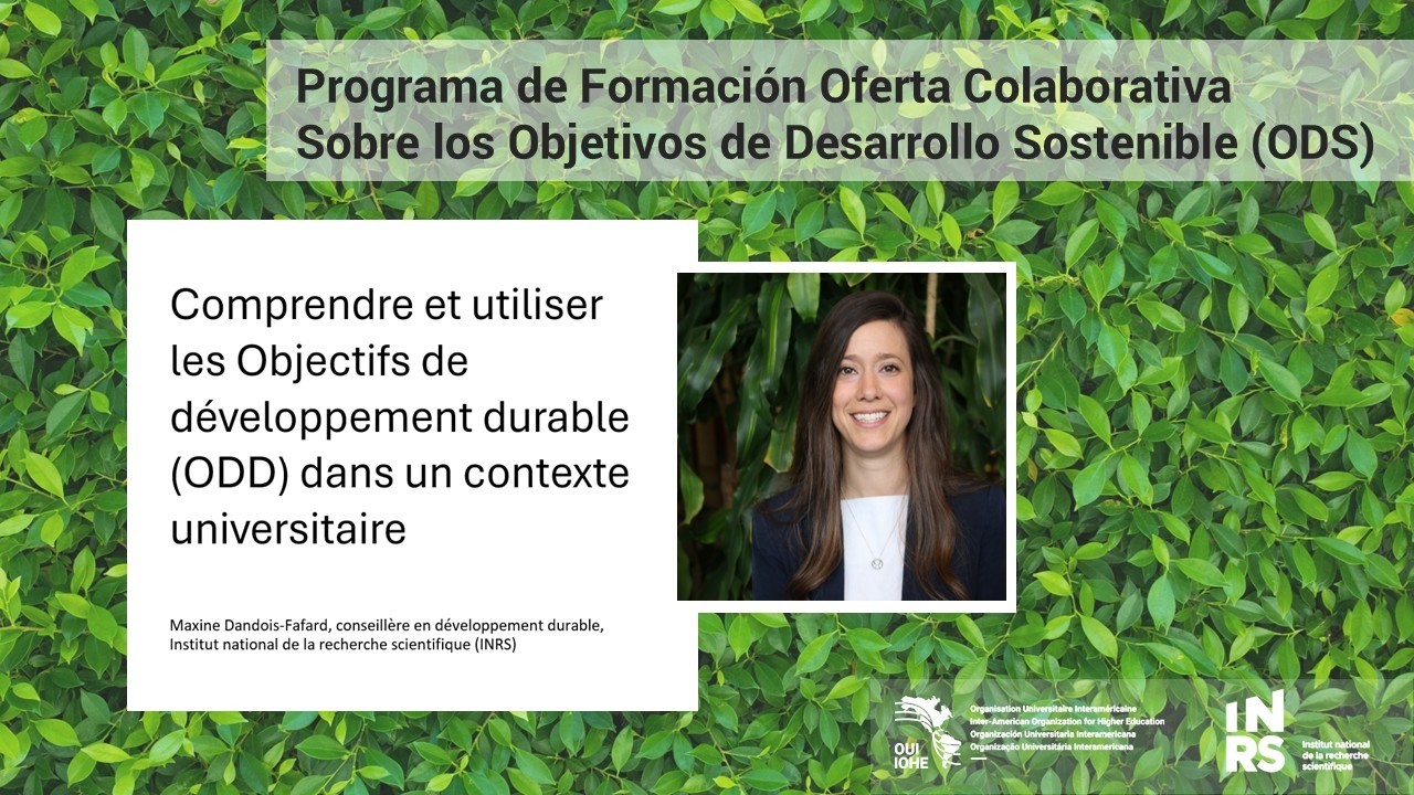 Webinar Comprendre et utiliser les Objectifs de développement durable dans un contexte universitaire
