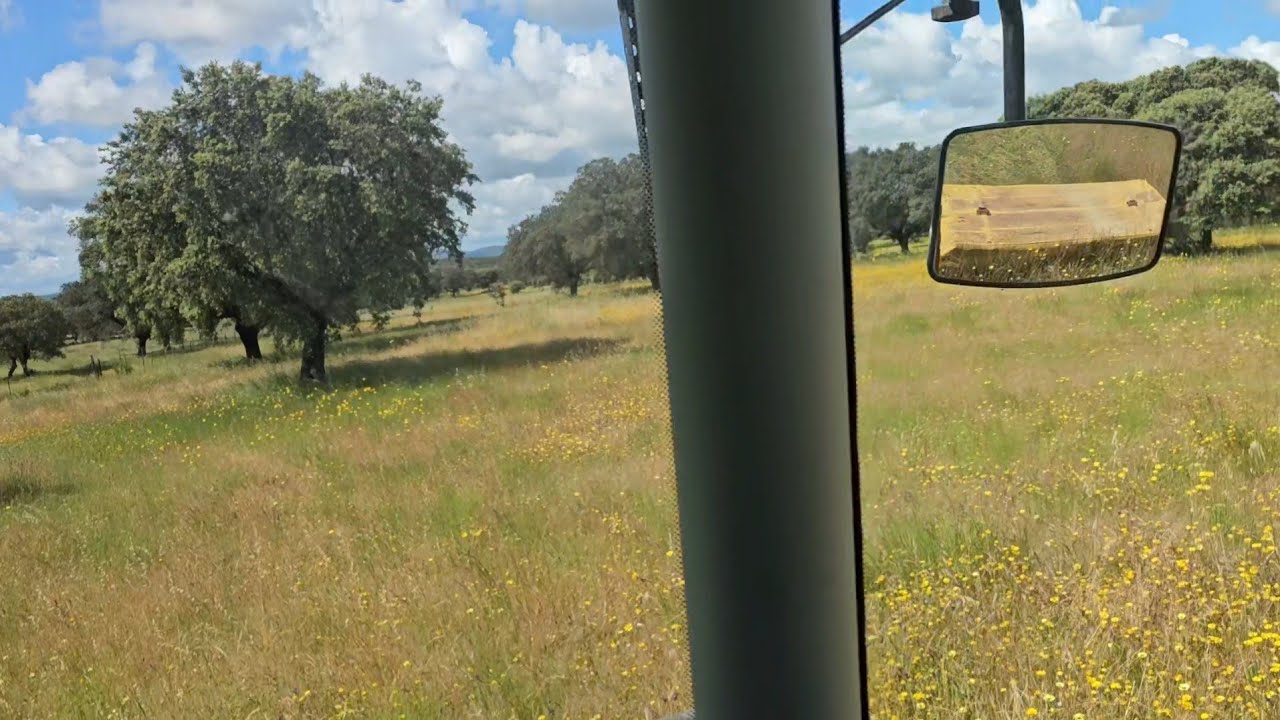 Qué cerca más bonita segamos hoy con la rotativa.😉👍
