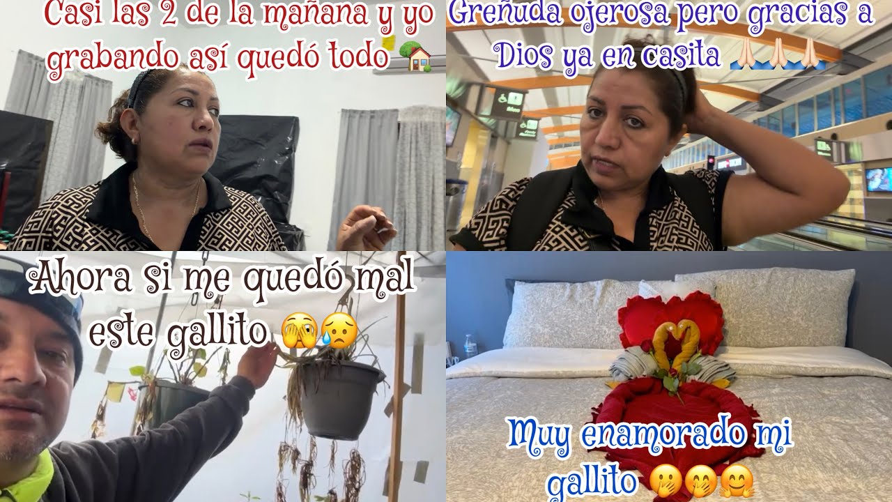 ASI GUARDE TODO EN LA CASA DE MEXICO🇲🇽🏡EL GALLITO ME SORPRENDIO 🥰🤗SE LE SECARON MIS PLANTAS 🌺😡
