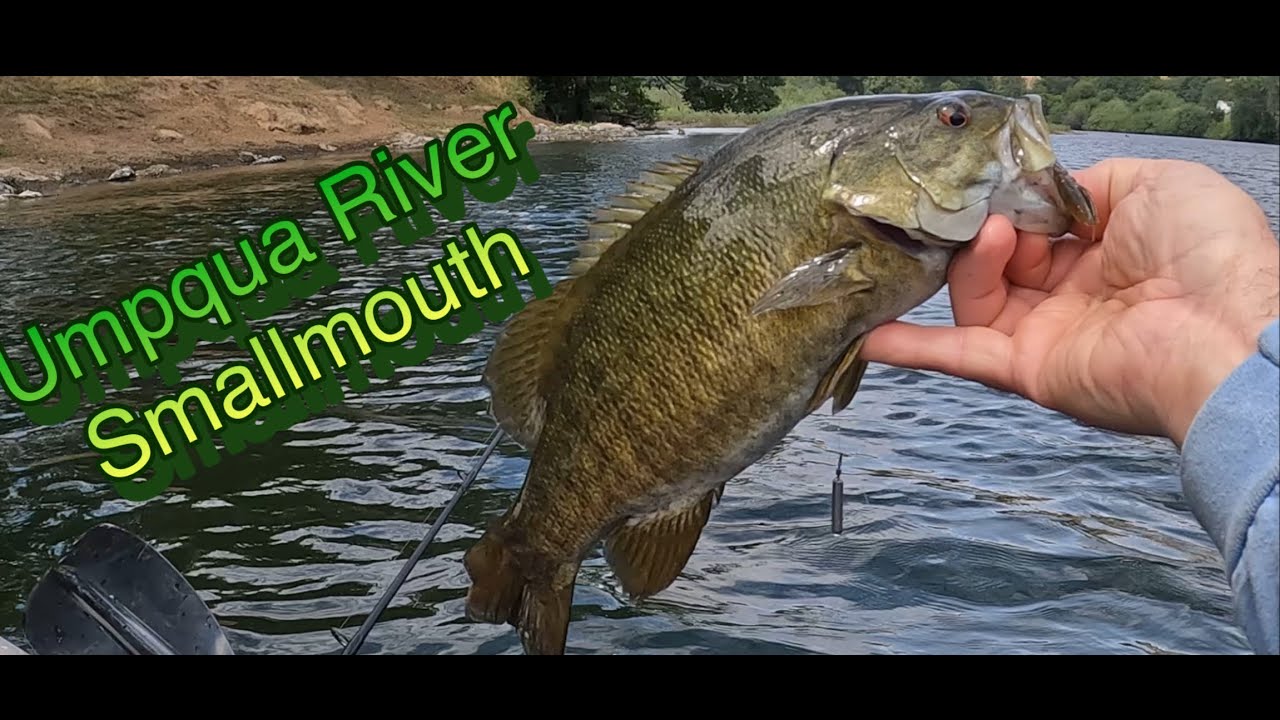 Oregon's Umpqua River Smallmouth Bass Fishing Kayak Float