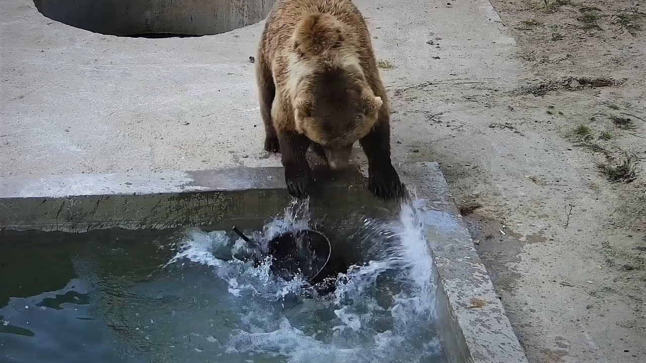 Мылодрамма 