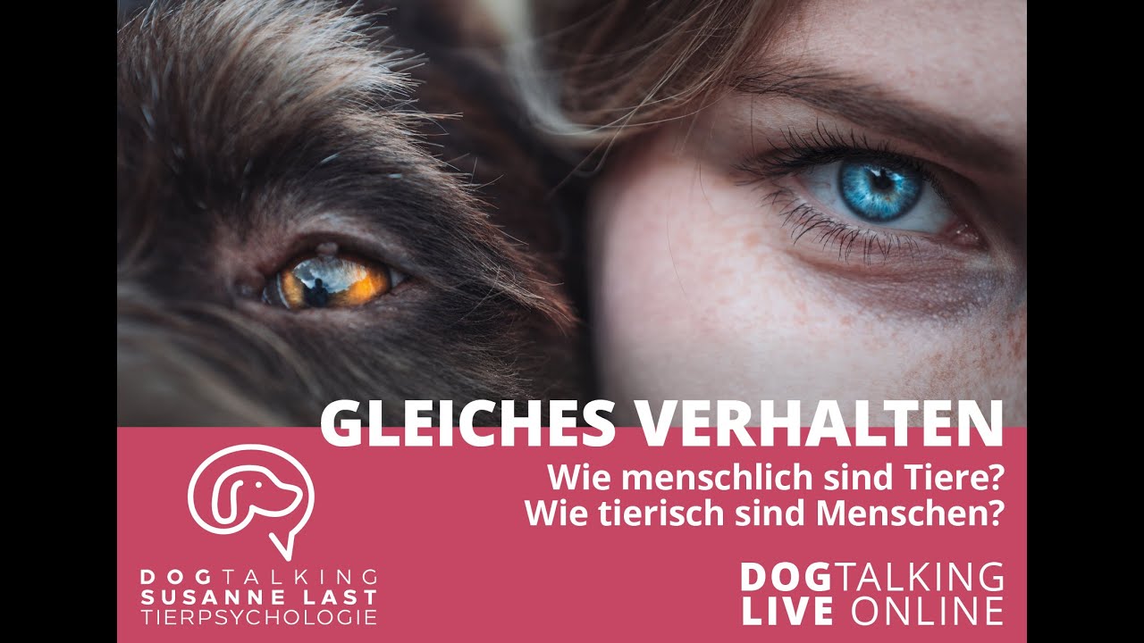 Podcast # 45 Video  Gleiches Verhalten Wie menschlich sind Tiere? Wie tierisch sind Menschen?