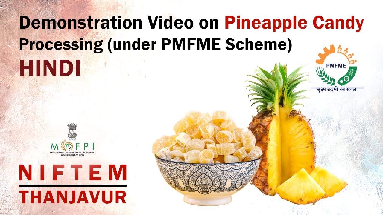 Demonstration Video on Pineapple Candy Processing (under PMFME Scheme) - HINDI