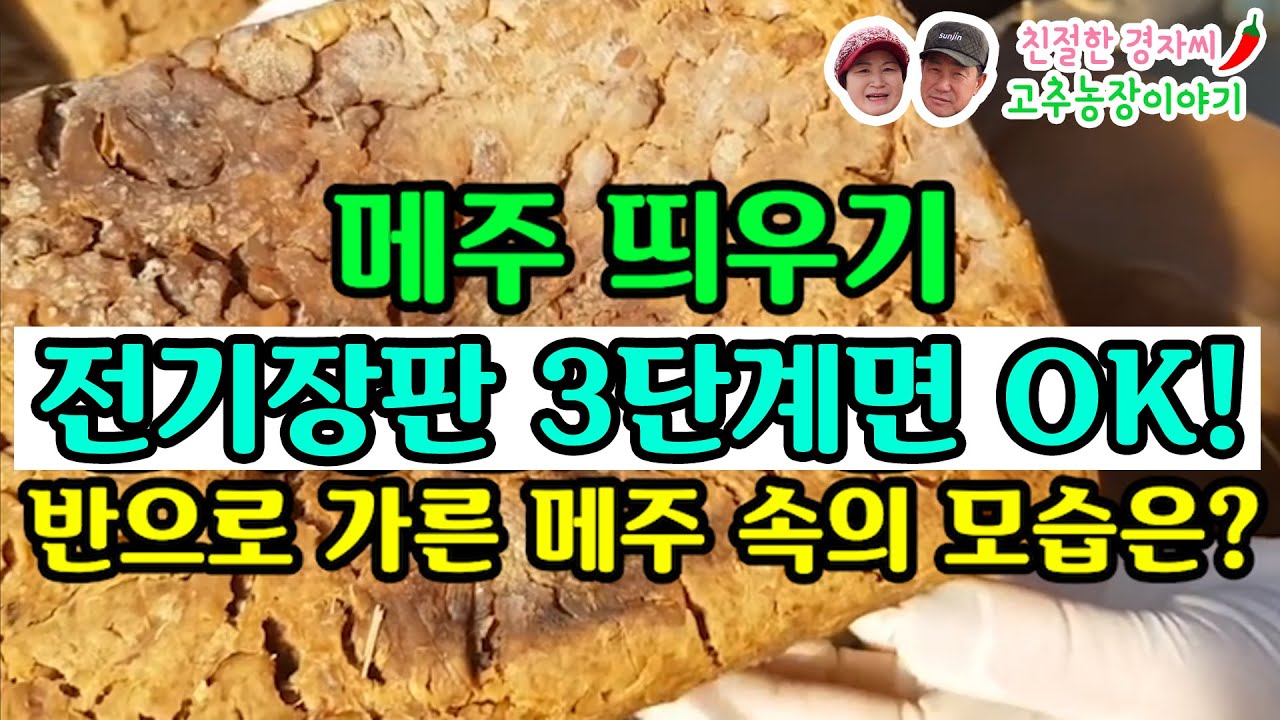 #메주띄우기 전기장판 3단계면 ok! 반으로 가른 잘 띄워진 메주 속 공개합니다! (강원도 영월이래요 *참고영상 재업로드*)