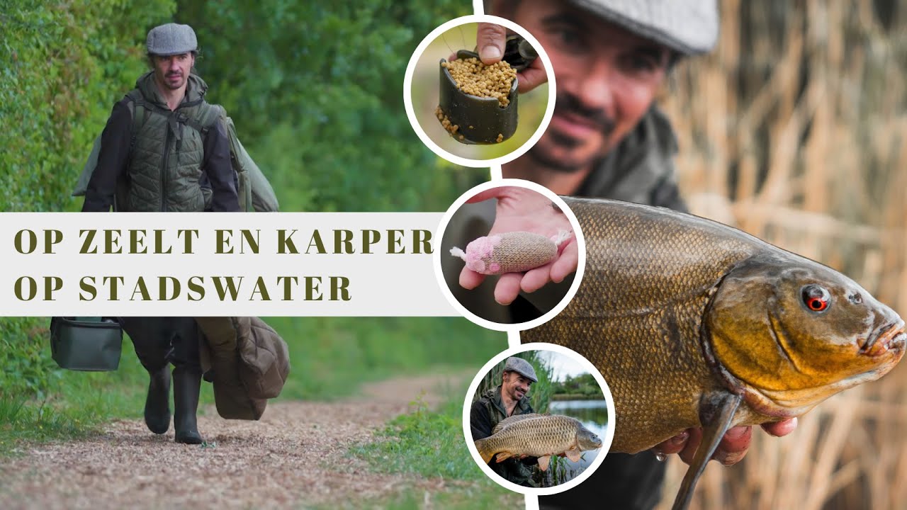 Op zeelt en karper op stadswater