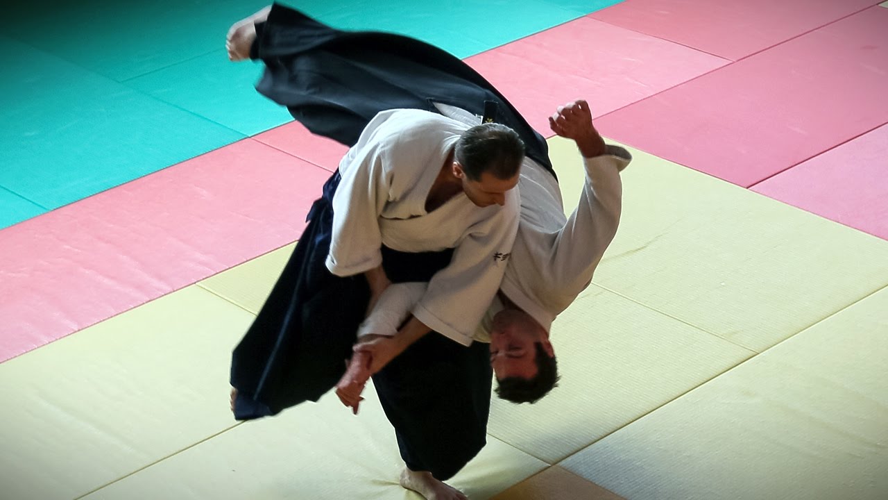 Dynamic Aikido - Guillaume Erard seminar in Bayonne (June 2016)