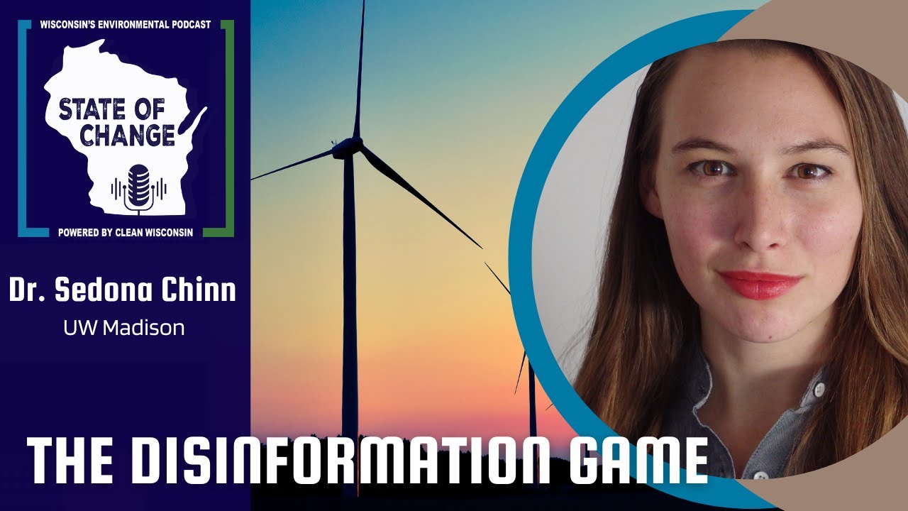 The Disinformation Game