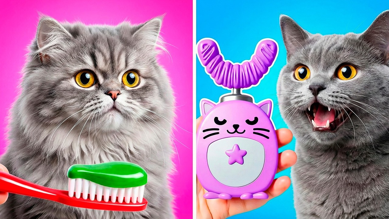 BabyCat 😼 Everybody Wants To Waste Your Time