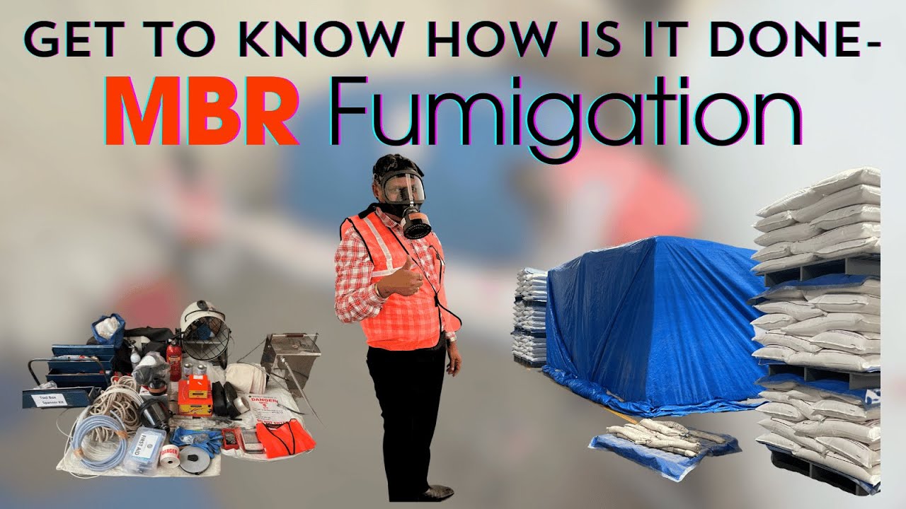 MBR Fumigation| Store Grain Pest| Fumigation Services| Stack Fumigation
