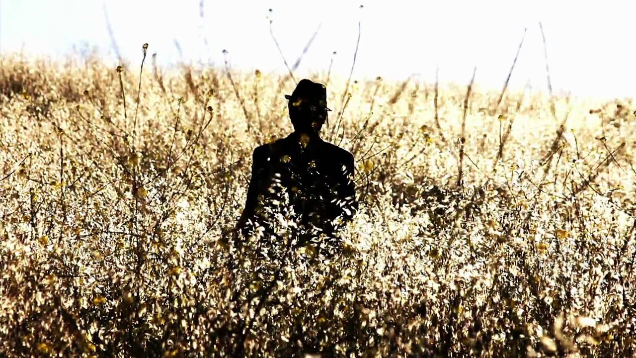 Splendor in the Grass | Pink Martini (Official Music Video) GRAND PRIZE WINNER